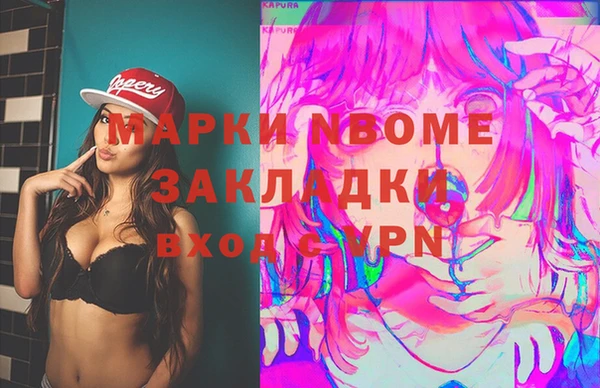 дмт Бородино