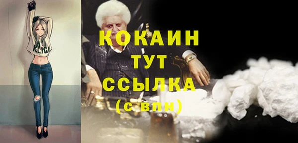 шишки Бронницы