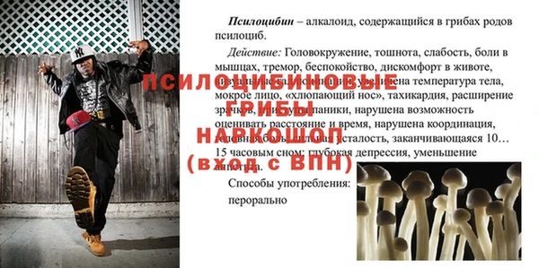 COCAINE Богородицк