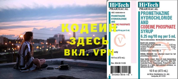 дмт Бородино