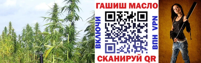 Дистиллят ТГК вейп  купить наркотики цена  Кедровый 